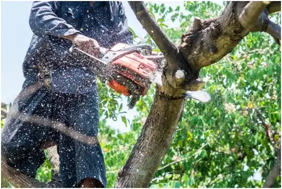 tree services Milam